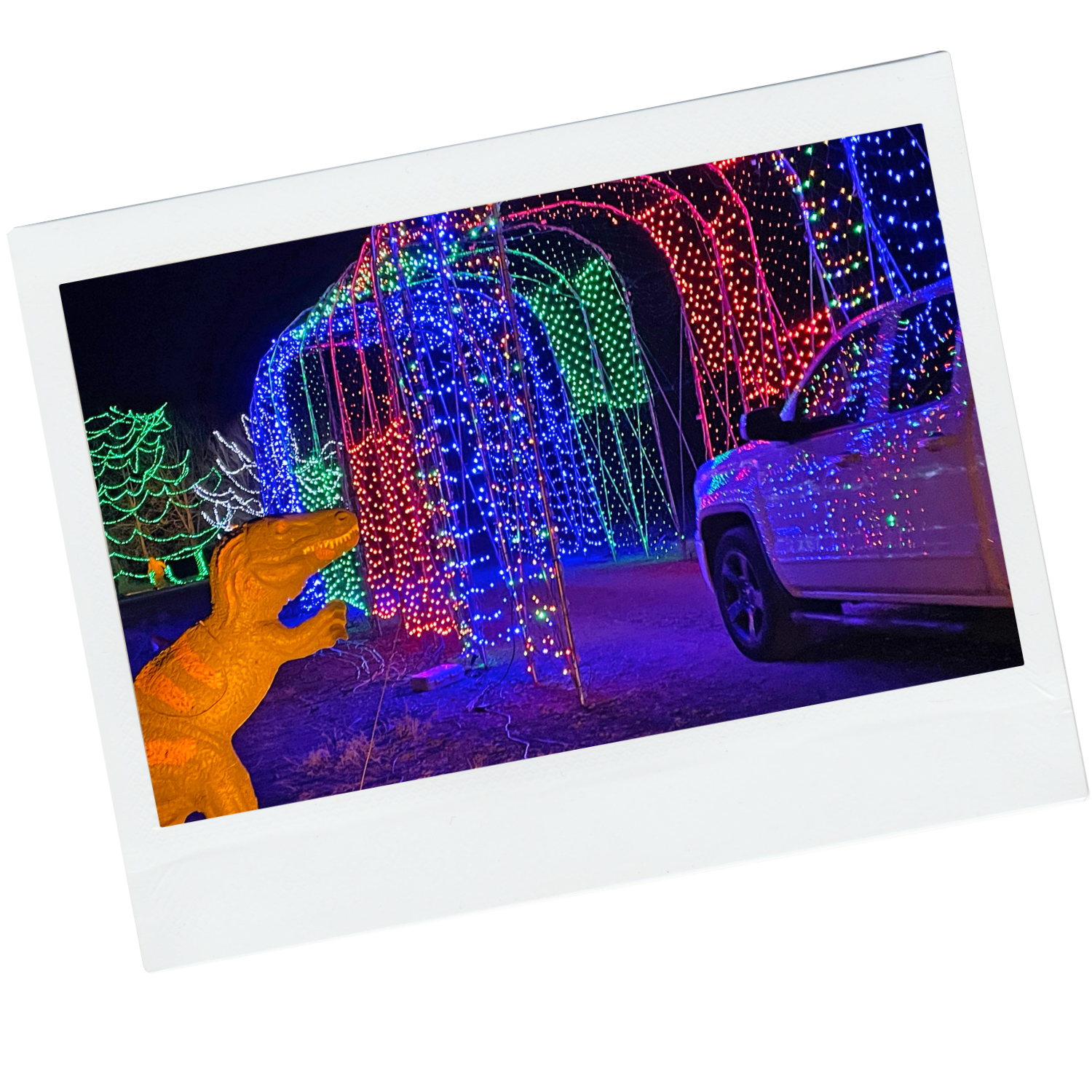 winter wonderland tunnel 2021